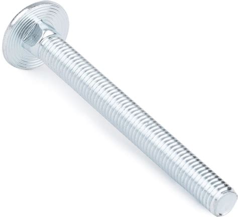 china coach bolt screw